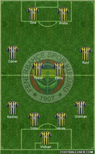 Fenerbahçe SK Formation 2013
