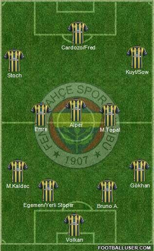 Fenerbahçe SK Formation 2013