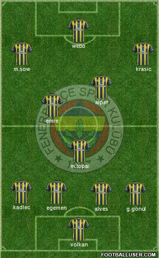 Fenerbahçe SK Formation 2013
