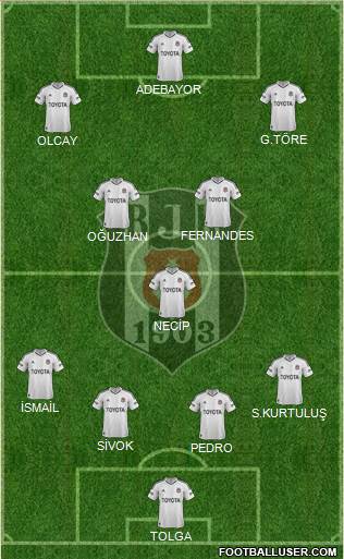 Besiktas JK Formation 2013