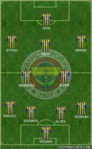 Fenerbahçe SK Formation 2013