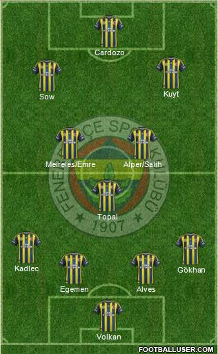 Fenerbahçe SK Formation 2013