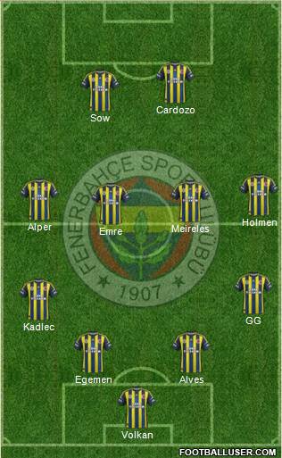 Fenerbahçe SK Formation 2013