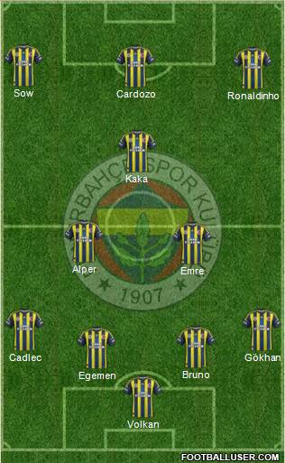 Fenerbahçe SK Formation 2013