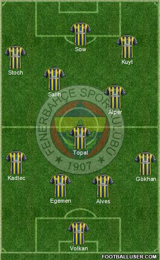 Fenerbahçe SK Formation 2013