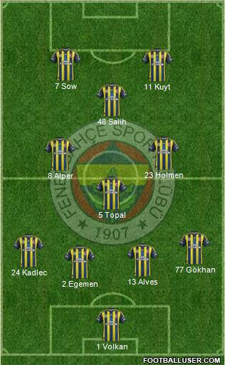 Fenerbahçe SK Formation 2013