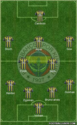 Fenerbahçe SK Formation 2013