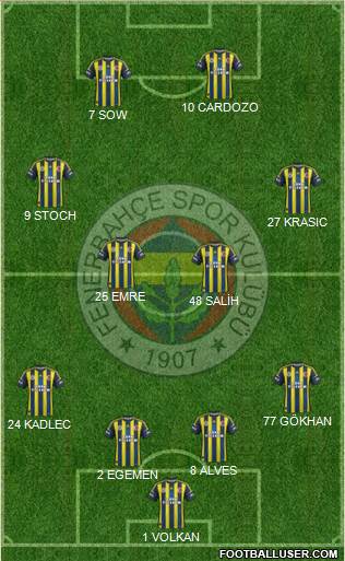 Fenerbahçe SK Formation 2013