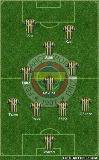 Fenerbahçe SK Formation 2013