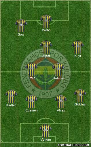 Fenerbahçe SK Formation 2013