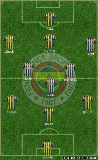 Fenerbahçe SK Formation 2013