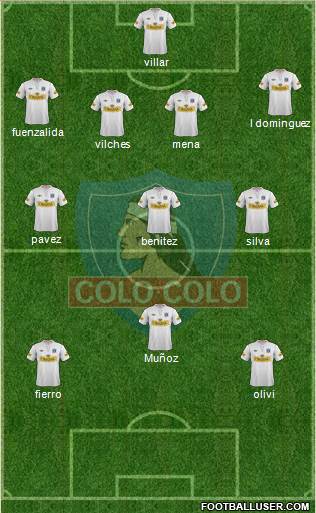 CSD Colo Colo Formation 2013