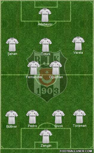 Besiktas JK Formation 2013