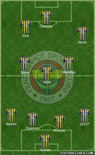 Fenerbahçe SK Formation 2013
