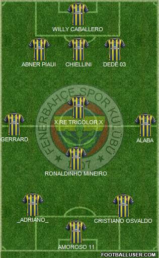 Fenerbahçe SK Formation 2013