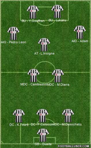 Newcastle United Formation 2013