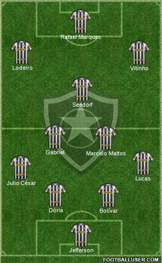 Botafogo FR Formation 2013