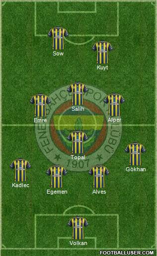 Fenerbahçe SK Formation 2013