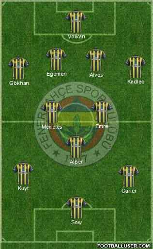 Fenerbahçe SK Formation 2013