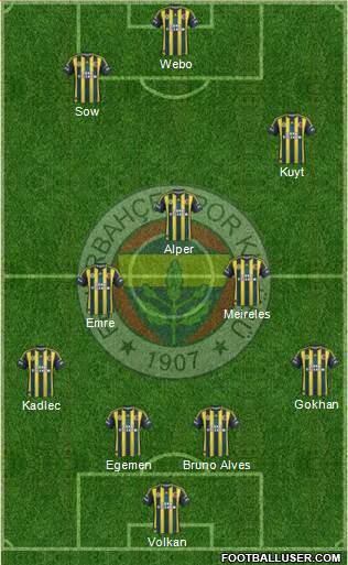 Fenerbahçe SK Formation 2013