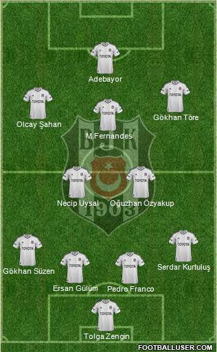 Besiktas JK Formation 2013