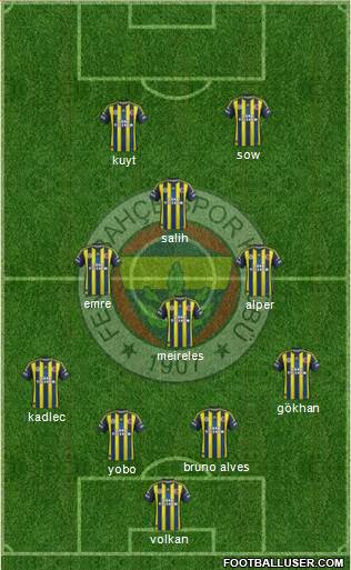 Fenerbahçe SK Formation 2013