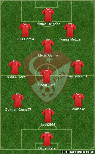 Turkey Formation 2013