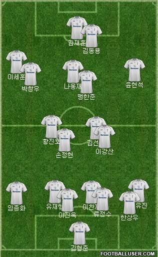 Tottenham Hotspur Formation 2013
