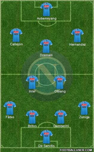 Napoli Formation 2013