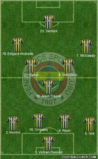 Fenerbahçe SK Formation 2013