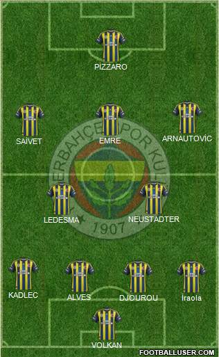 Fenerbahçe SK Formation 2013