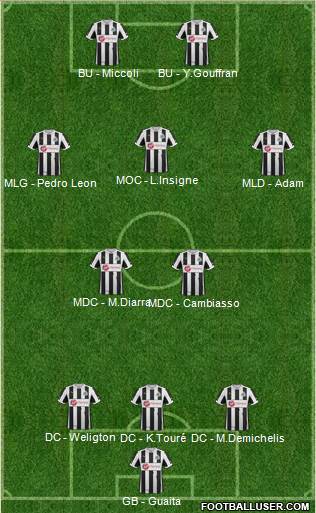Newcastle United Formation 2013