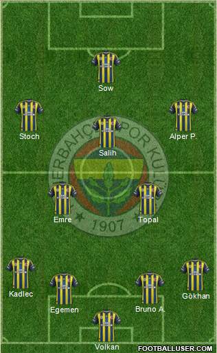 Fenerbahçe SK Formation 2013