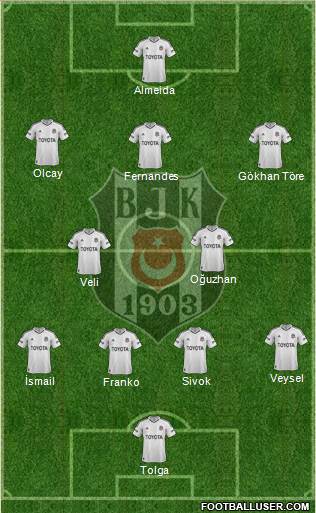 Besiktas JK Formation 2013