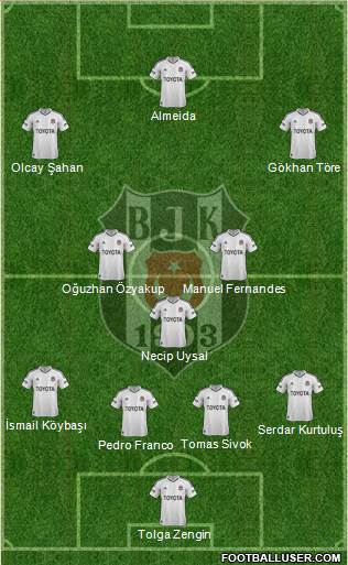 Besiktas JK Formation 2013
