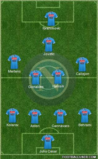Napoli Formation 2013