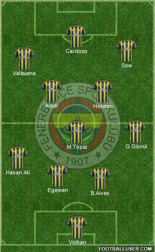 Fenerbahçe SK Formation 2013