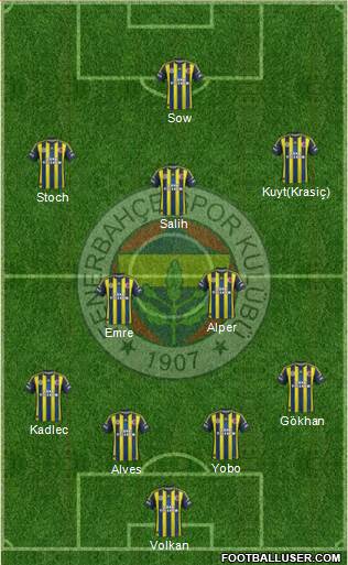 Fenerbahçe SK Formation 2013