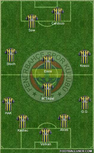 Fenerbahçe SK Formation 2013