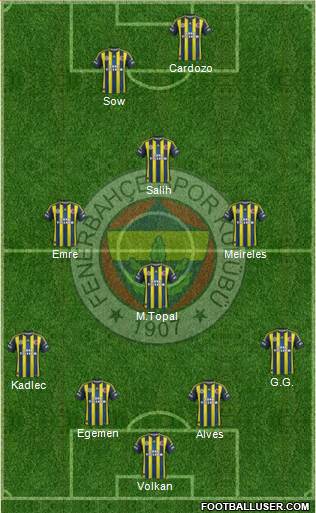 Fenerbahçe SK Formation 2013