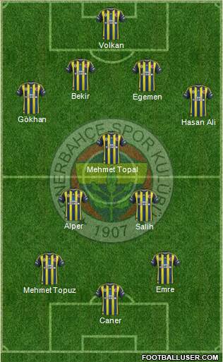 Fenerbahçe SK Formation 2013
