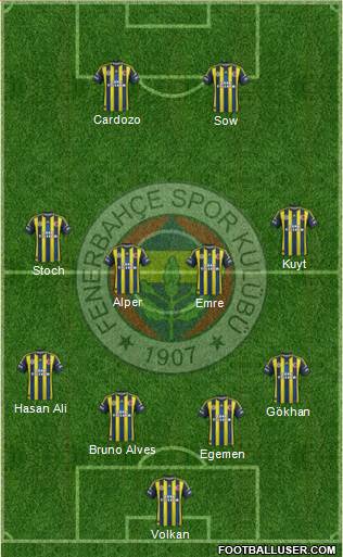 Fenerbahçe SK Formation 2013