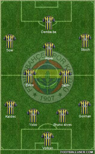 Fenerbahçe SK Formation 2013