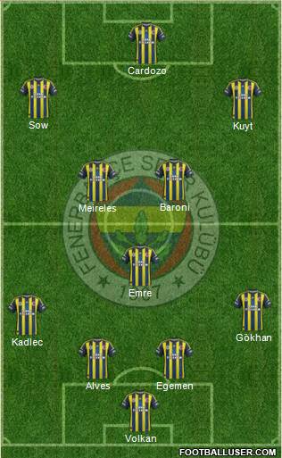Fenerbahçe SK Formation 2013