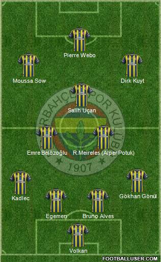 Fenerbahçe SK Formation 2013
