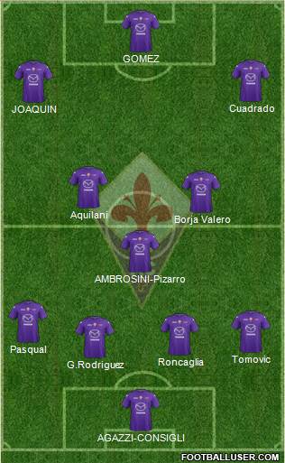 Fiorentina Formation 2013