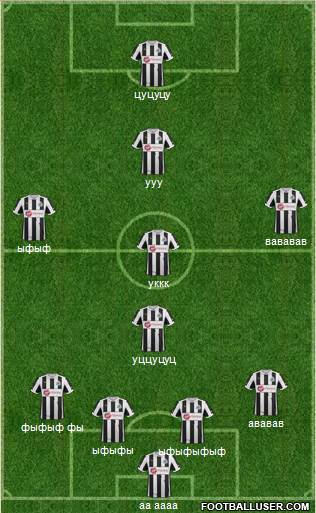 Newcastle United Formation 2013