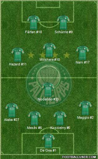 SE Palmeiras Formation 2013