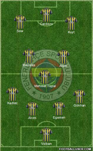 Fenerbahçe SK Formation 2013