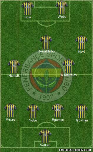 Fenerbahçe SK Formation 2013